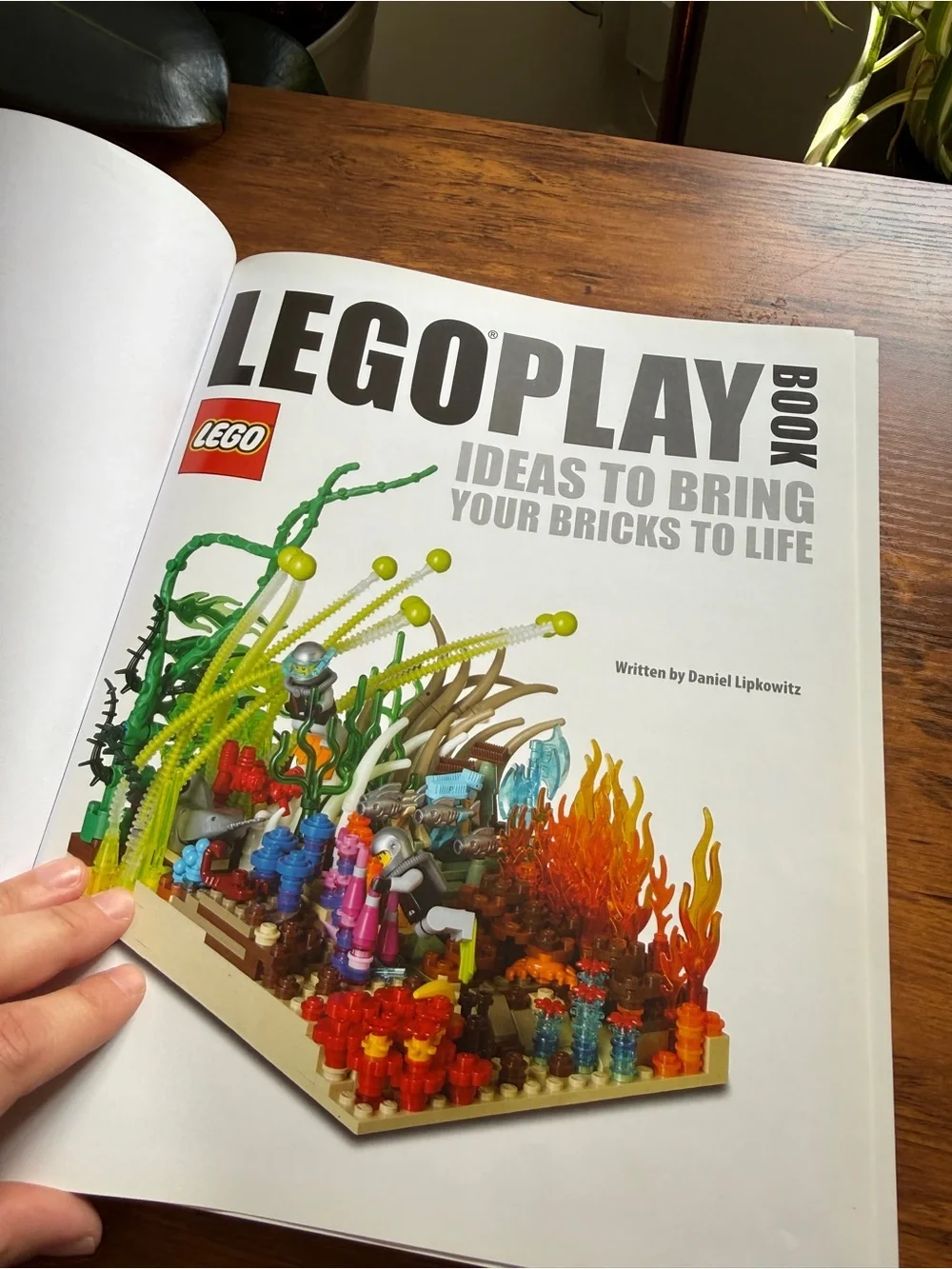 LEGO Play Book - Red Dragon Ideas to Bring Your Bricks to Life